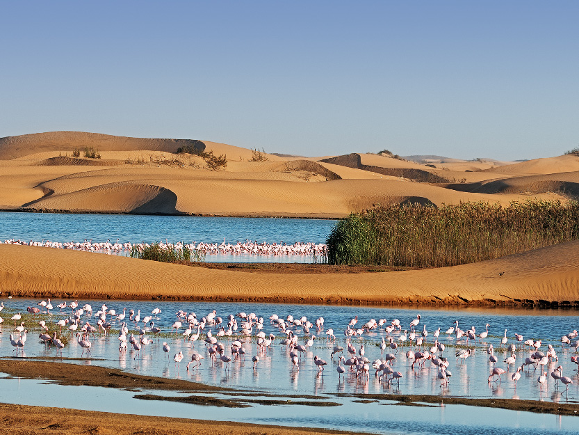 Namibia Landscape